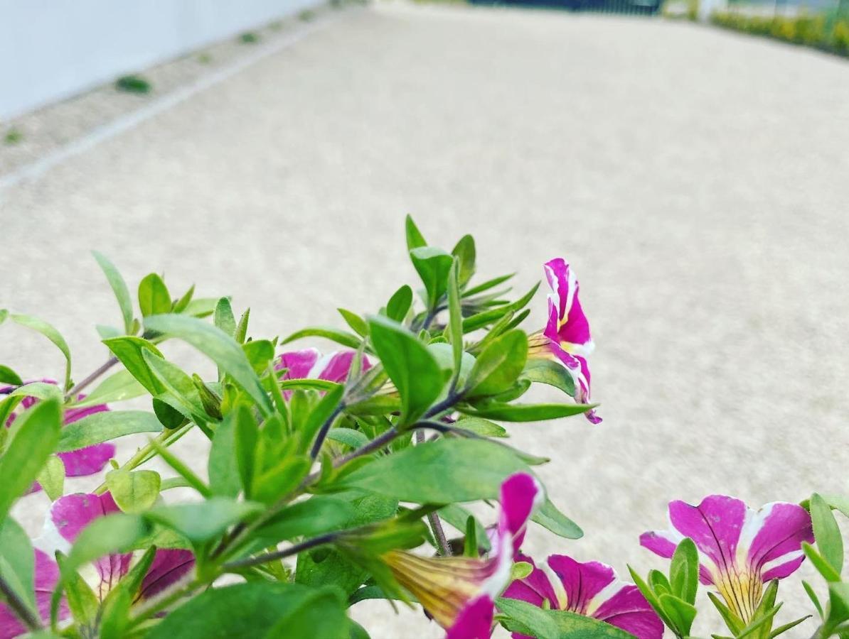K&J Domki Letniskowe Bedzino المظهر الخارجي الصورة
